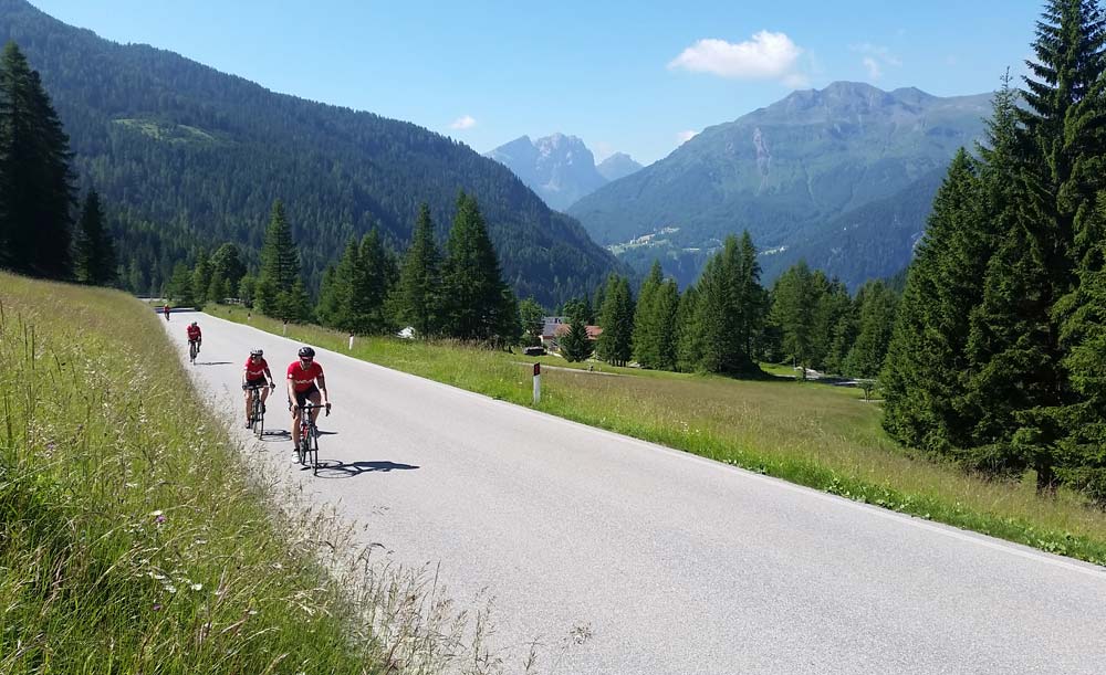 About | Brevet | Passo Falzarego Meadows