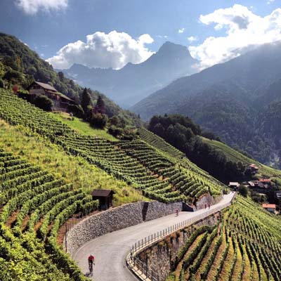 Alpenbrevet Guest Review Neill Weir | Col de la Croix | Brevet