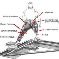 Cross Training For Cyclists