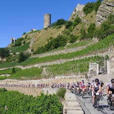 Cyclosportive des Vins du Valais