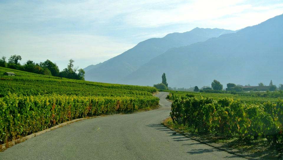 Cyclosportive des Vins du Valais Rhone Vineyards