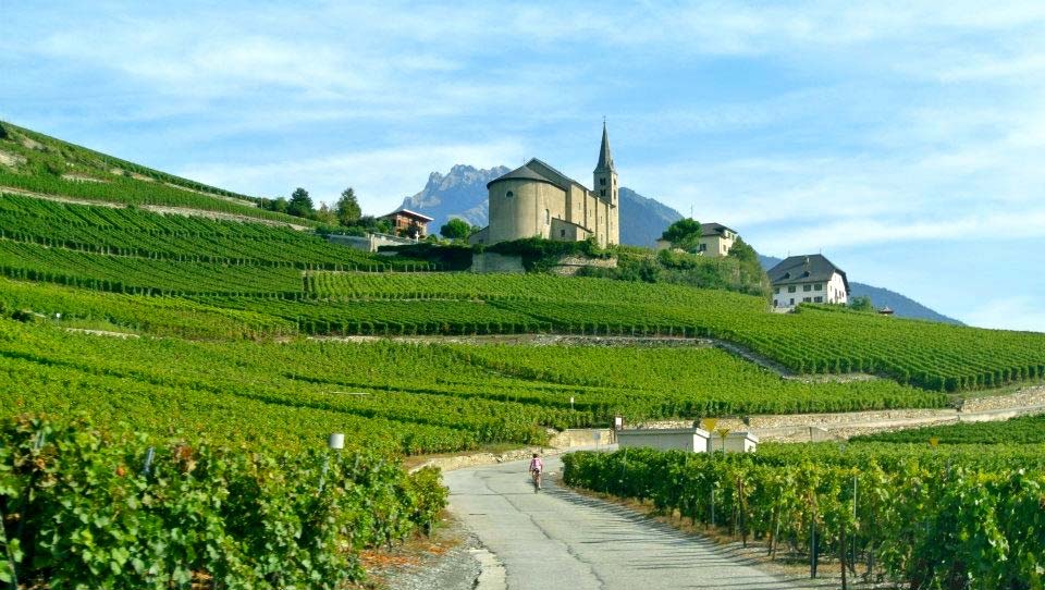 Cyclosportive des Vins du Valais | Vineyards