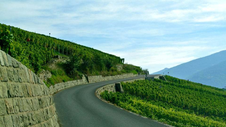 Cyclosportive des Vins du Valais | Climbing Through Valais Vineyards