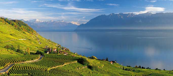 The Lavaux Vineyards are an impressive backdrop to the Cyclotour du Léman 2013, part of Brevet's Cyclotour du Léman cycling sportive holiday.