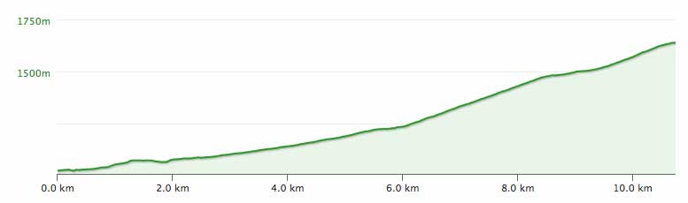 Mittleberg Profile