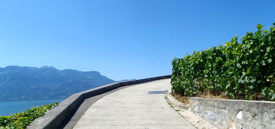 Sign up to the Brevet free newsletter for training tips, ride reports, random bike related thoughts and the latest tour news straight to your inbox.