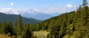 Partners | Brevet Alpine Cycling Adventures