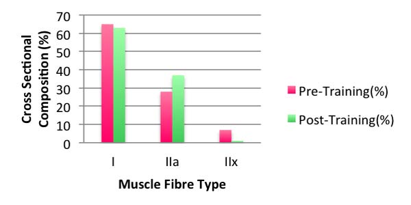 Strength Training For Cyclists