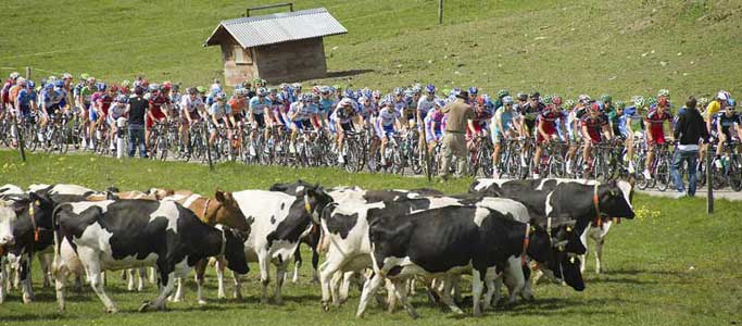 Team Sky lead Bradley Wiggins over La Caquerelle in the 2012 Tour de Romandie a climb that would feature later in the 2012 Tour de France