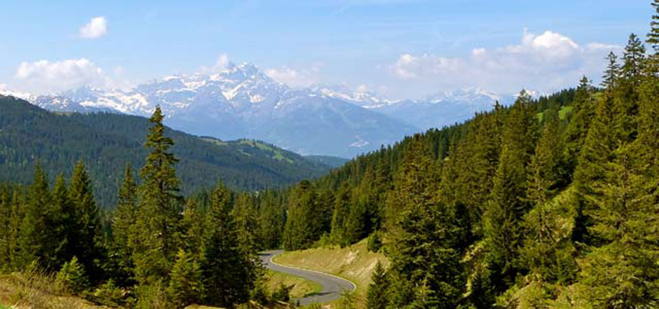 Tour des Diablerets | Col de la Croix | Brevet Alpine Cycling Adventures