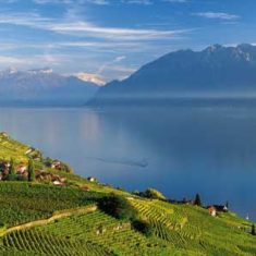 The Lavaux Vineyards are an impressive backdrop to the Cyclotour du Léman, part of Brevet's Cyclotour du Léman cycling sportive holiday.