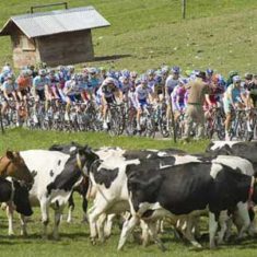 Team Sky lead Bradley Wiggins over La Caquerelle in the 2012 Tour de Romandie a climb that would feature later in the 2012 Tour de France